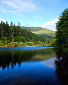 calm river